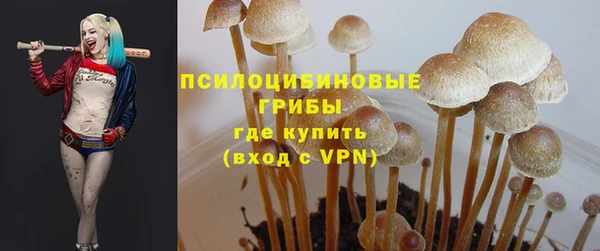 соль курить ск Вязьма