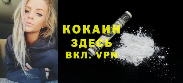 соль ск Бородино