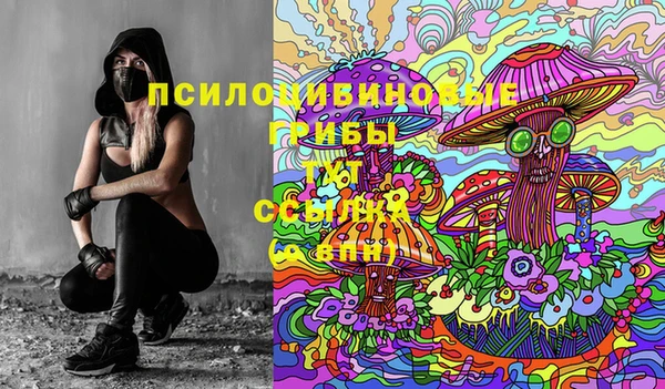 прущие крисы Вяземский