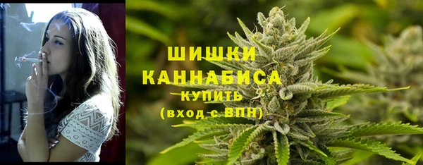 прущие крисы Вяземский