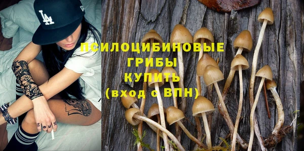 соль курить ск Вязьма