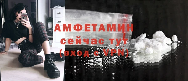 прущие крисы Вяземский