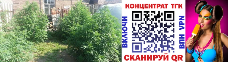 Дистиллят ТГК концентрат  купить наркотики цена  Далматово 